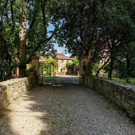 Novole 10 Emma Arezzo